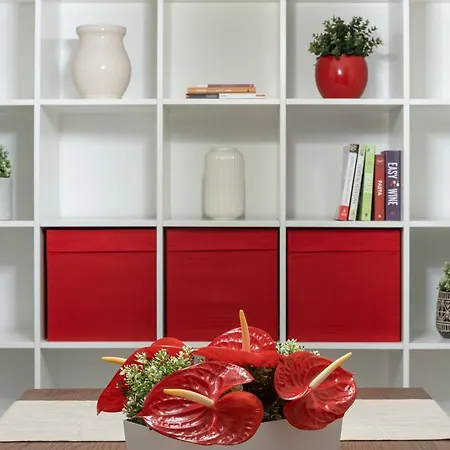Kainua Superba Apartamento *